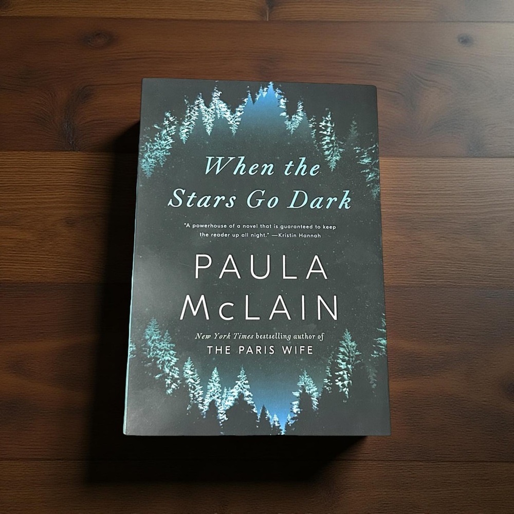 ☀️3 for $22☀️ “When The Stars Go Dark” by Paula McLain Paperback Novel